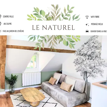 Ferienwohnung Joli Mansarde Au Calme - Le Jardin De L'Eveche A Votre Fenetre Lisieux Exterior foto