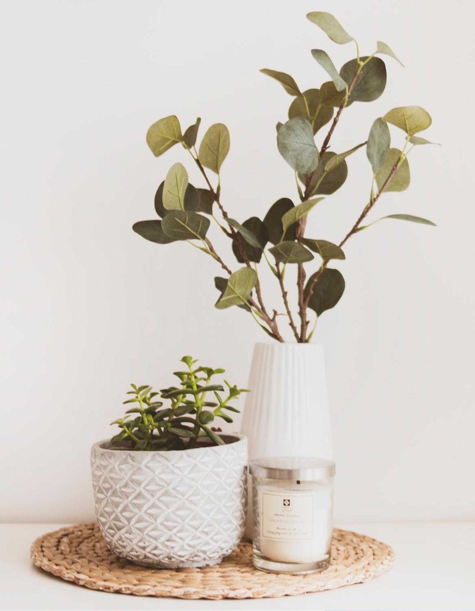 Apartment Joli Mansarde Au Calme - Le Jardin De L'eveche A Votre Fenetre *